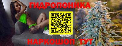 ешки Лесосибирск