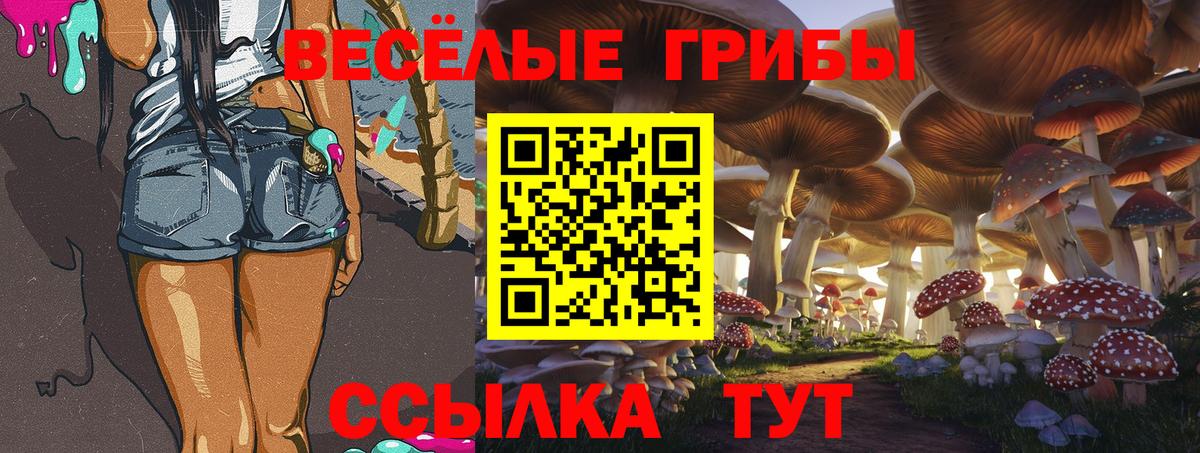 Псилоцибиновые грибы мухоморы  что такое наркотик  Гатчина  Вход с VPN  Псилоцибиновые грибы ЛСД 