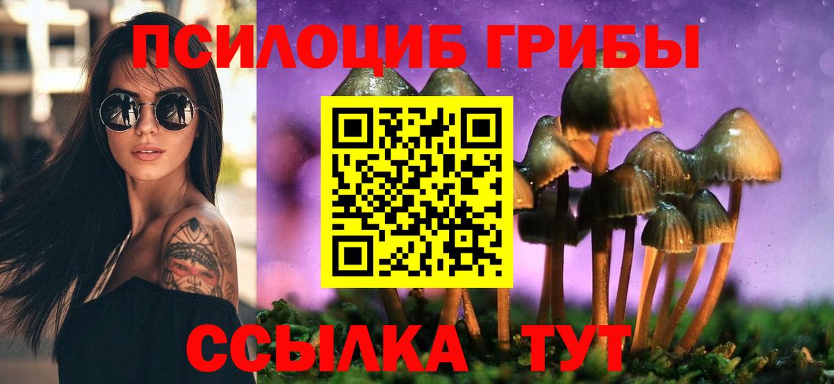 Псилоцибиновые грибы Magic Shrooms Гатчина